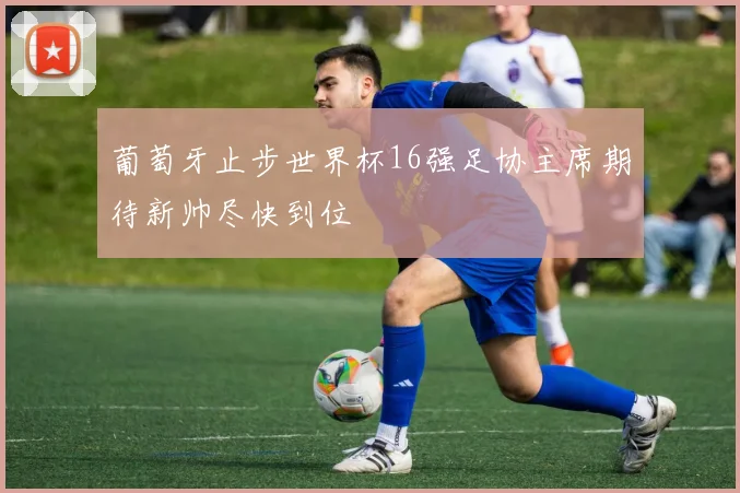 葡萄牙止步世界杯16强足协主席期待新帅尽快到位